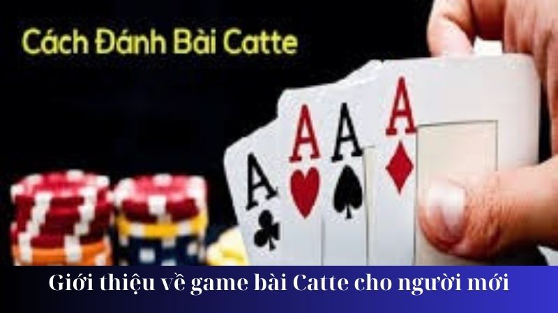 Giới thiệu khái quát về game bài Catte