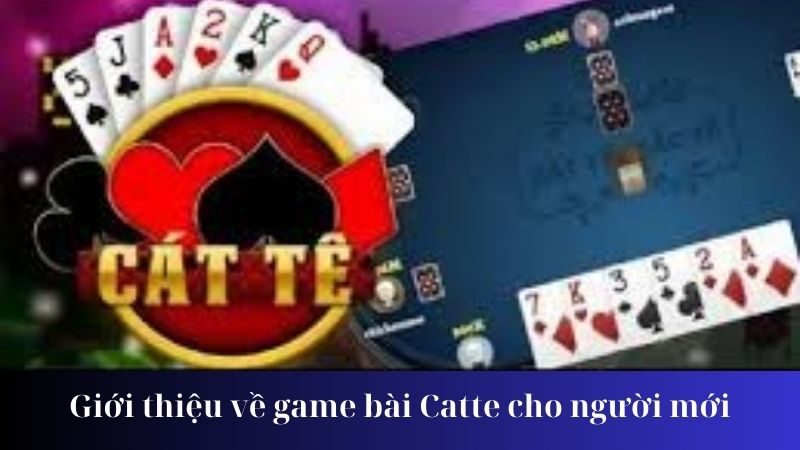 Luật chơi và cách thức tham gia game bài Catte