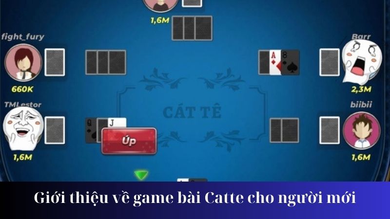 Một số lưu ý khi sử dụng game bài Catte