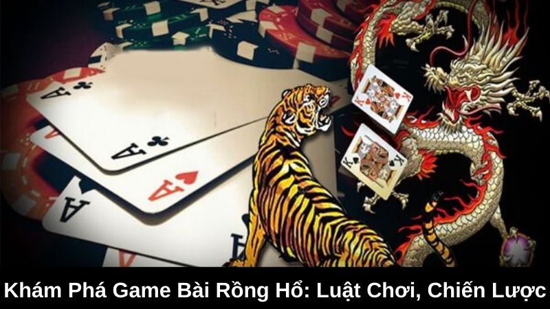 Cách đặt cược trong game bài rồng hổ